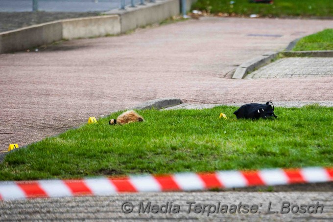 Mediaterplaatse steek incident haarlem 09112021 Image00012