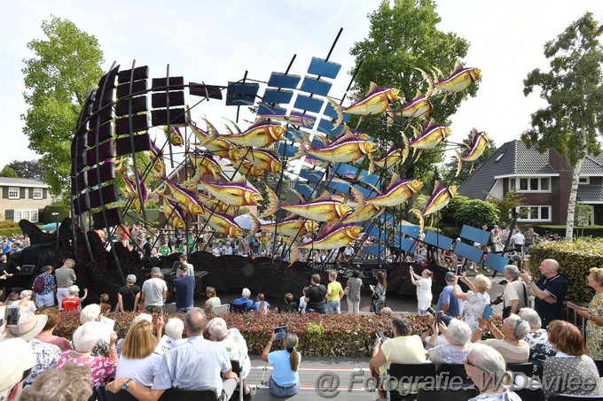 Mediaterplaatse bloemencorso zundert 04092022Image00023