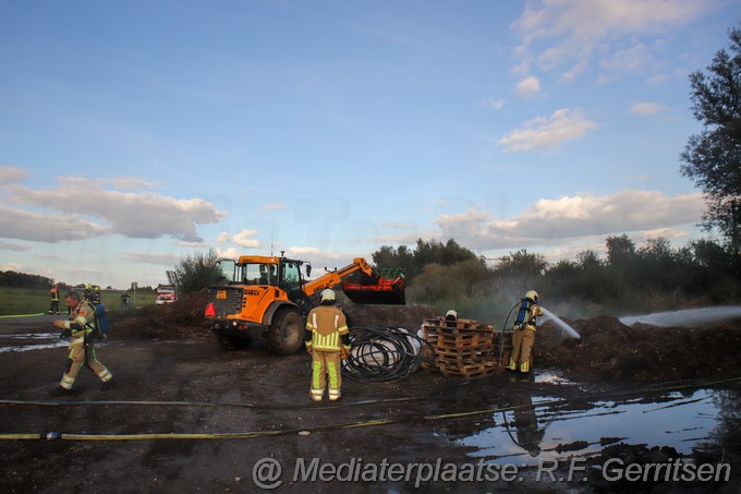 Mediaterplaatse broei negen viertel reeuwijk 21092022Image00037