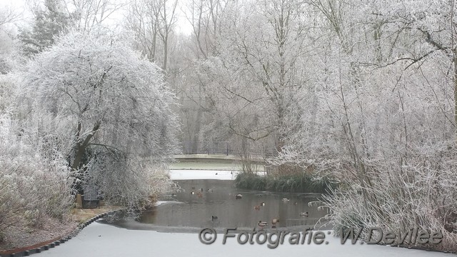 Mediaterplaats Winter foto leiden 18012017 Image00004