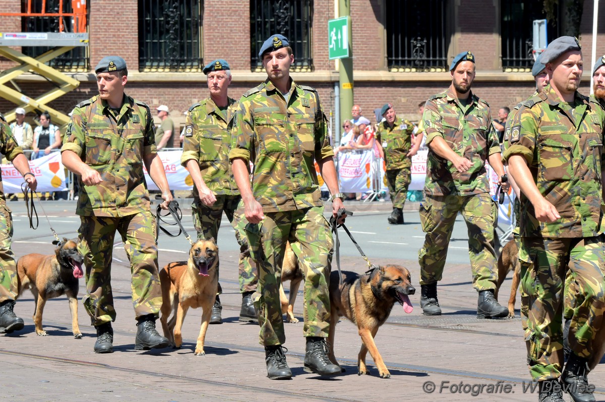 Mediaterplaatse veteranendag 2019 DenHaag 2962019 Image00024