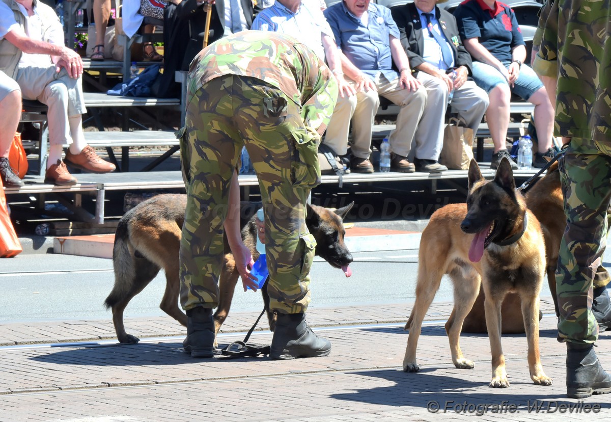 Mediaterplaatse veteranendag 2019 DenHaag 2962019 Image00025