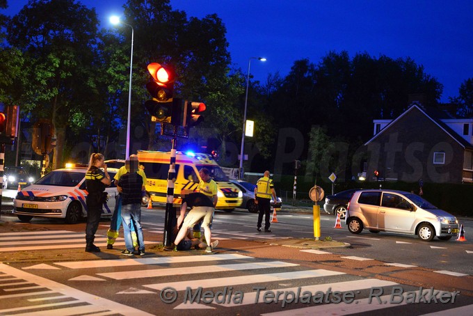 Mediaterplaatse kopstaart churchilllaan leiden 13102018 Image00003