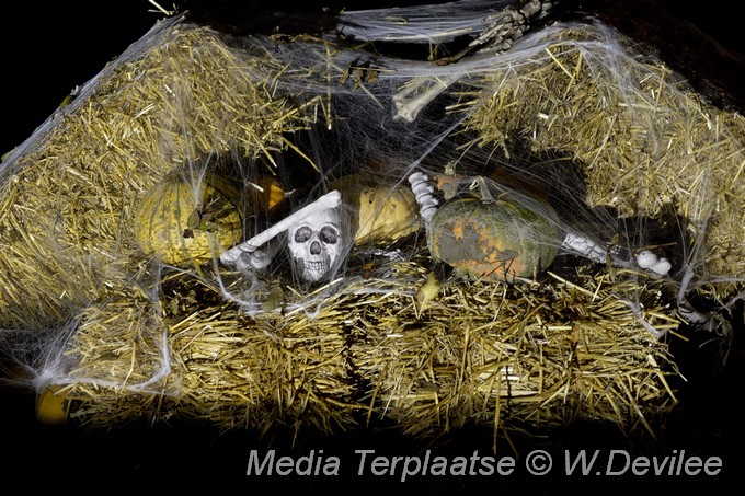 Media Terplaatse Halloween lisse 25102014 Image00001